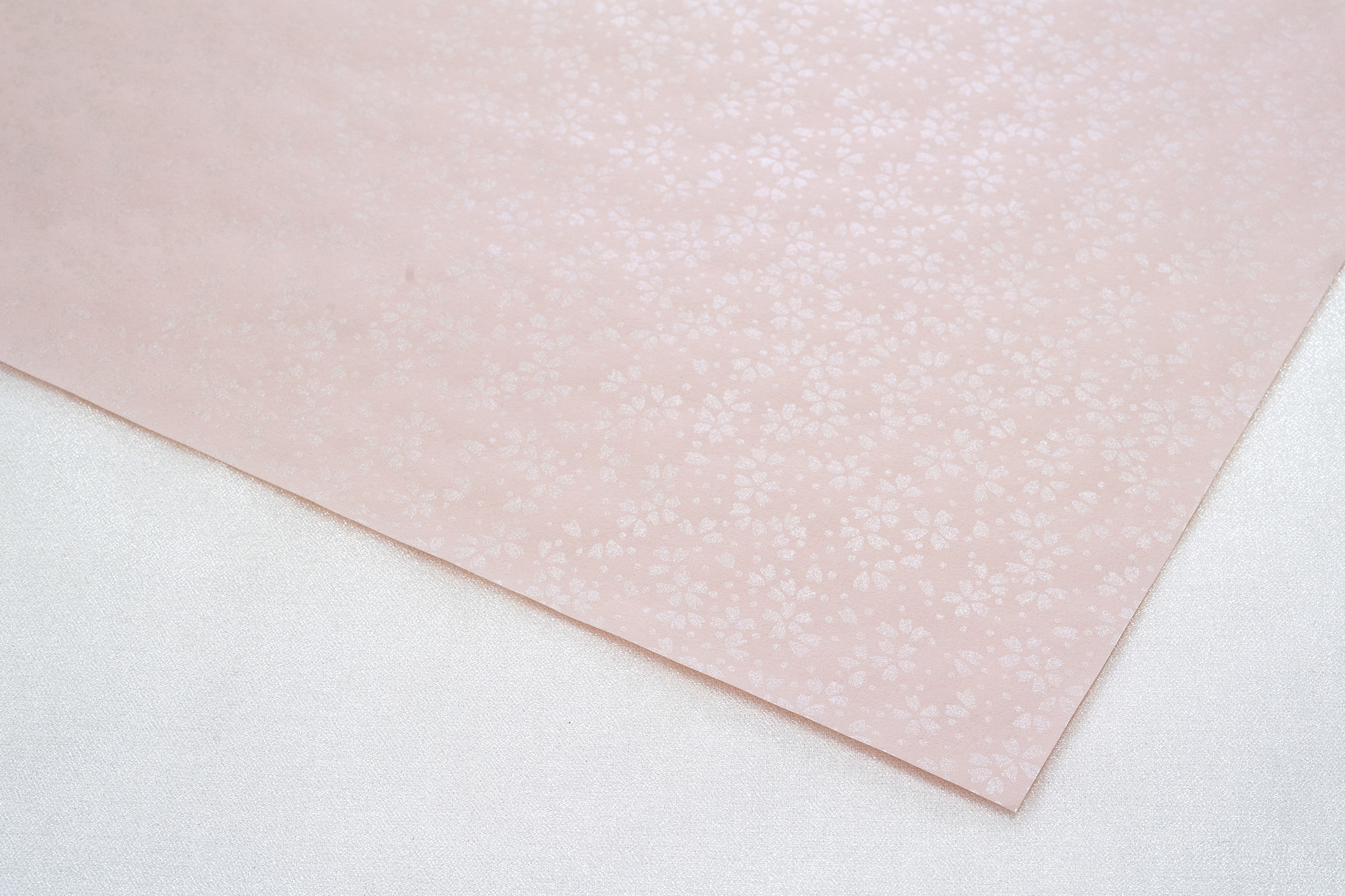 2190祇園桜-桜色