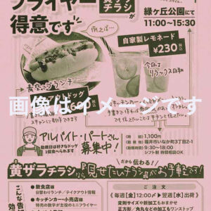ピンク更B5チラシ1色刷